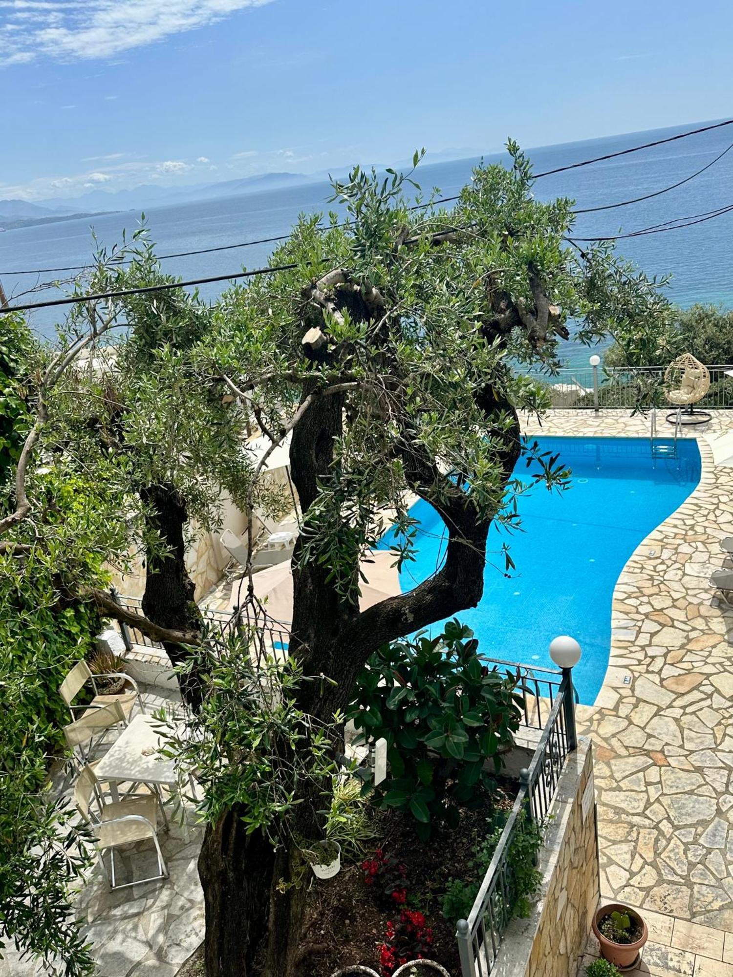 Vladimiros Apartments Barbati Exterior foto