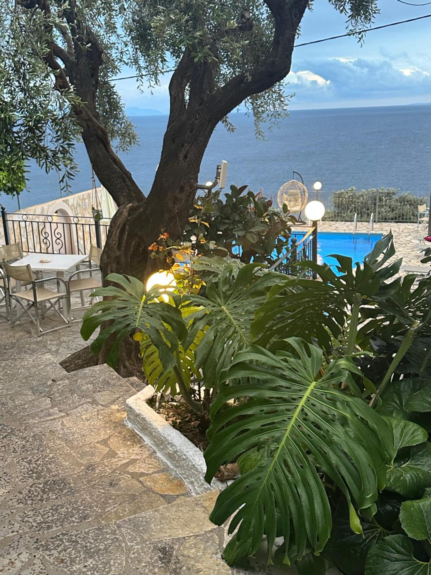 Vladimiros Apartments Barbati Exterior foto